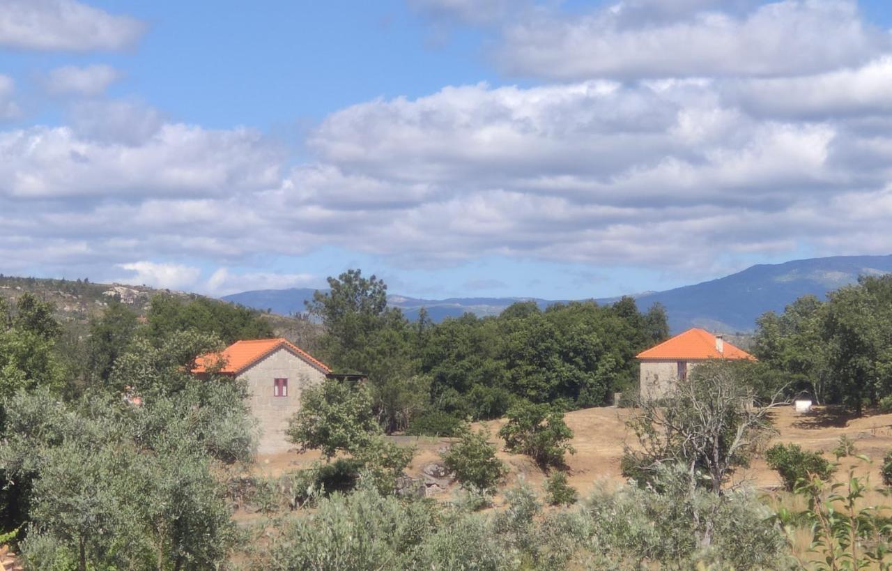 Quinta Da Adarnela Appartement Lagares da Beira Buitenkant foto