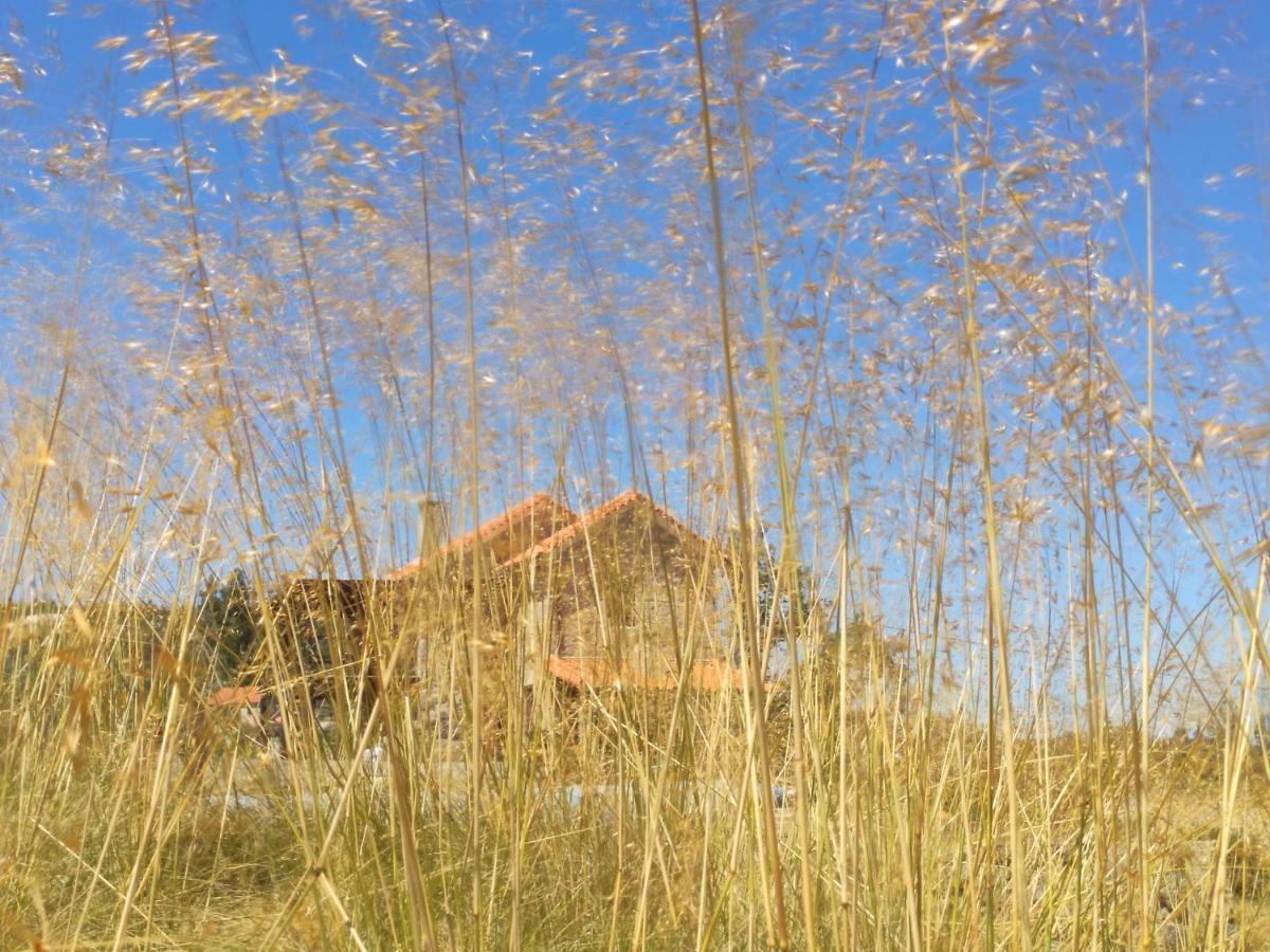 Quinta Da Adarnela Appartement Lagares da Beira Buitenkant foto